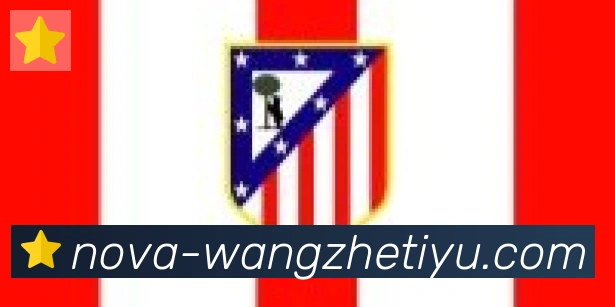 王者体育直播合作伙伴